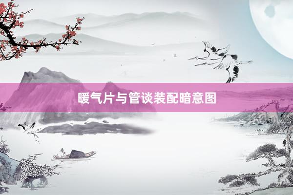 暖气片与管谈装配暗意图